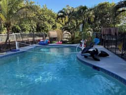 Jungle by the Sea Luxury 5BR & 1LR Villa - Image 5